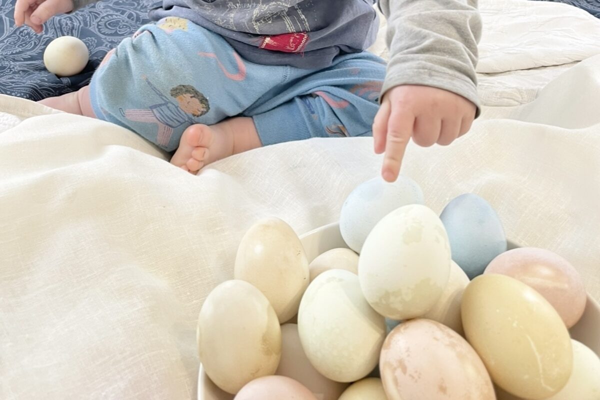 A small boy pointing at easter eggs with his little finger. 