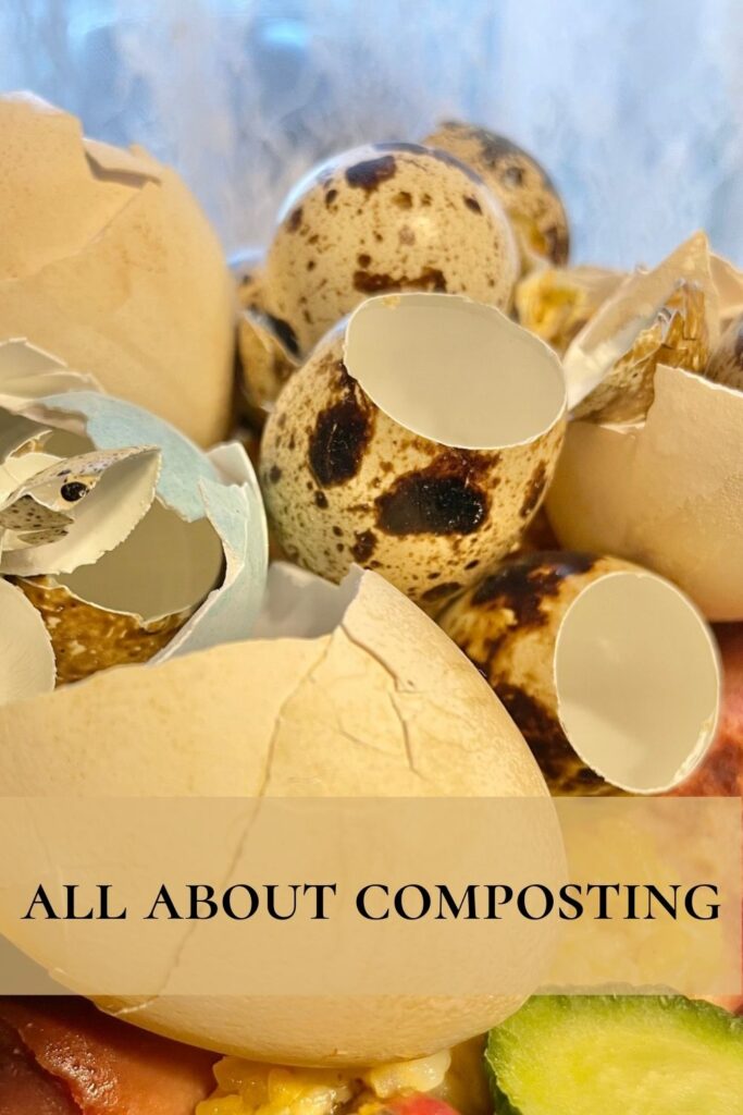 Egg shells in compost. 