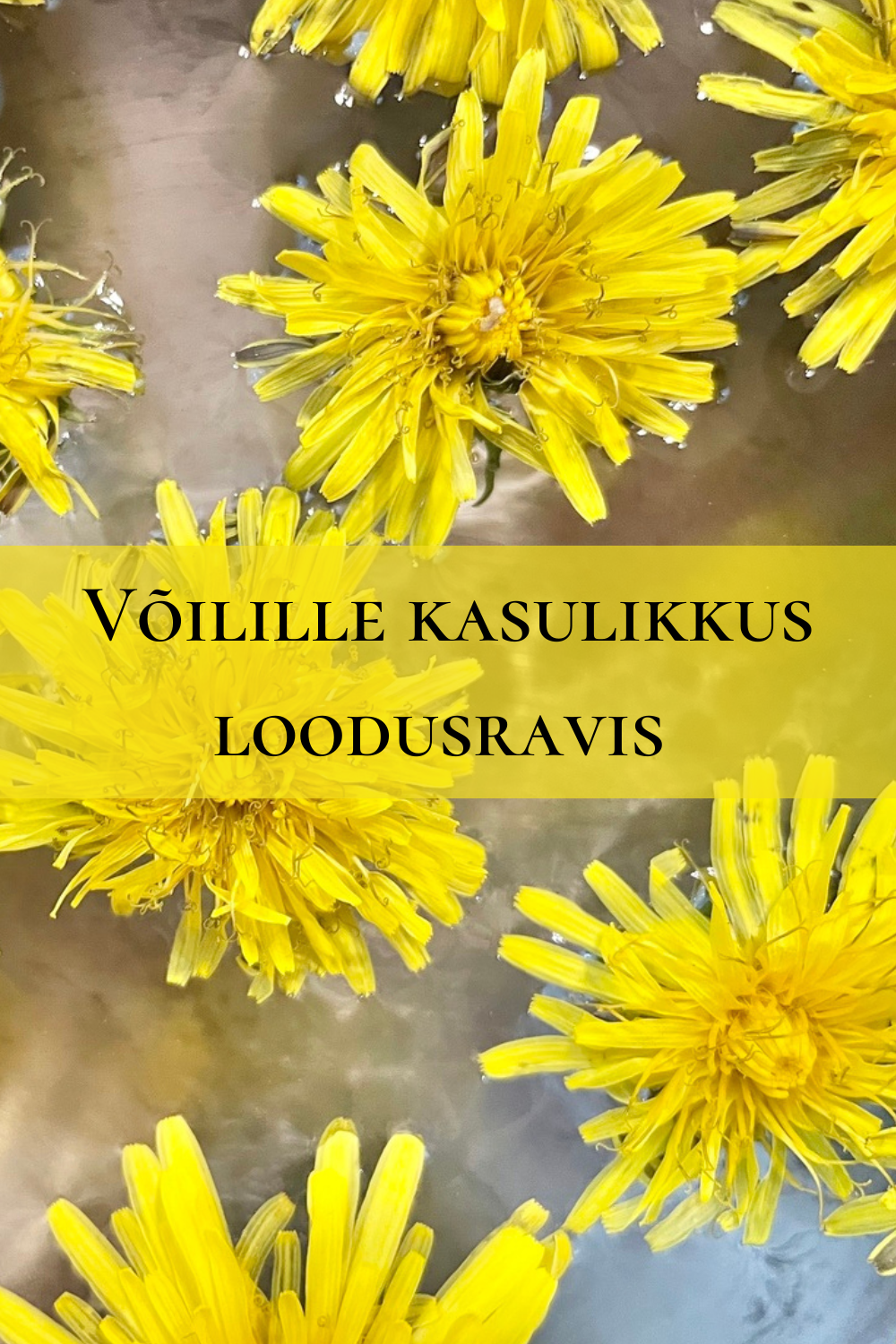 Võilille kasulikkus loodusravis