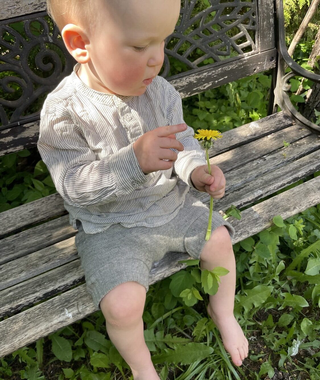 A boy sitting with a dandelion.