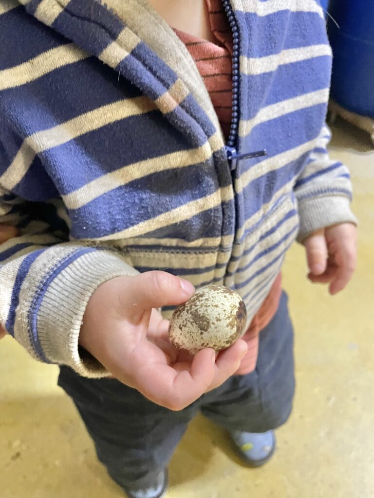 A boy with a quail egg.