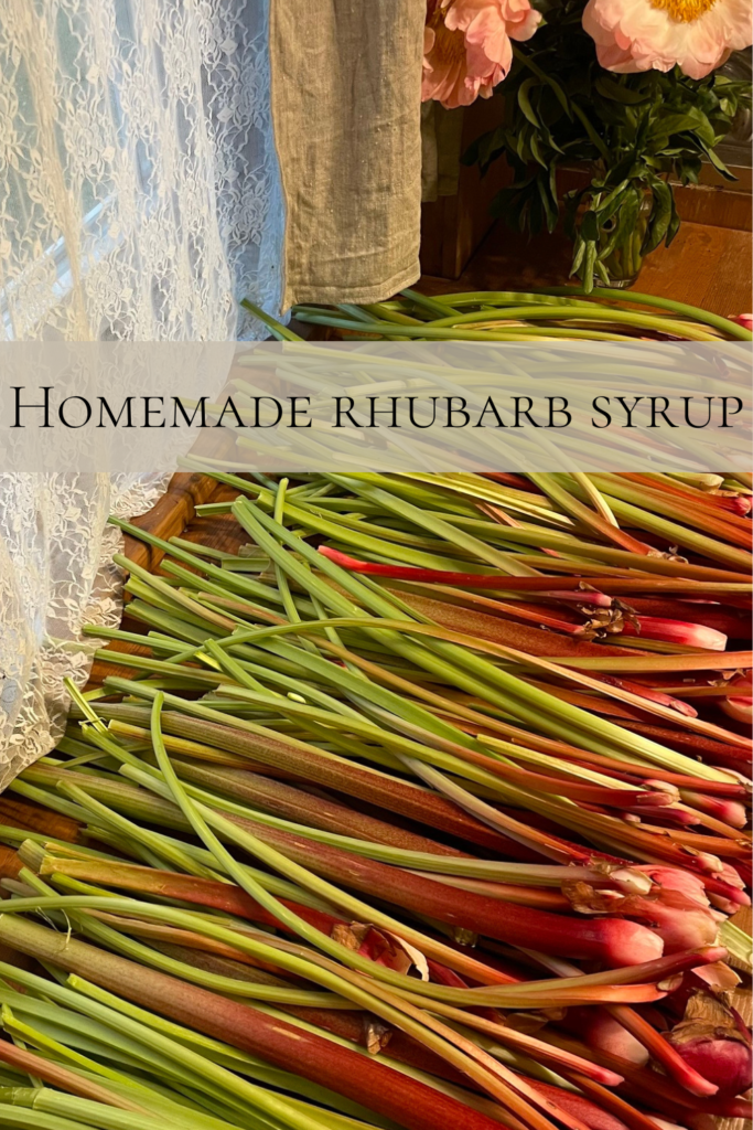 Homemade rhubarb syrup. 