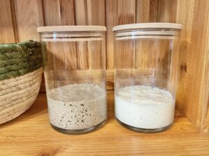 Two different sourdough starters.