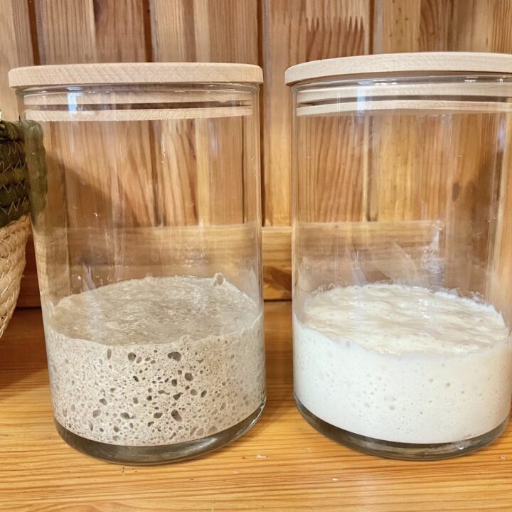 Two different sourdough starters.