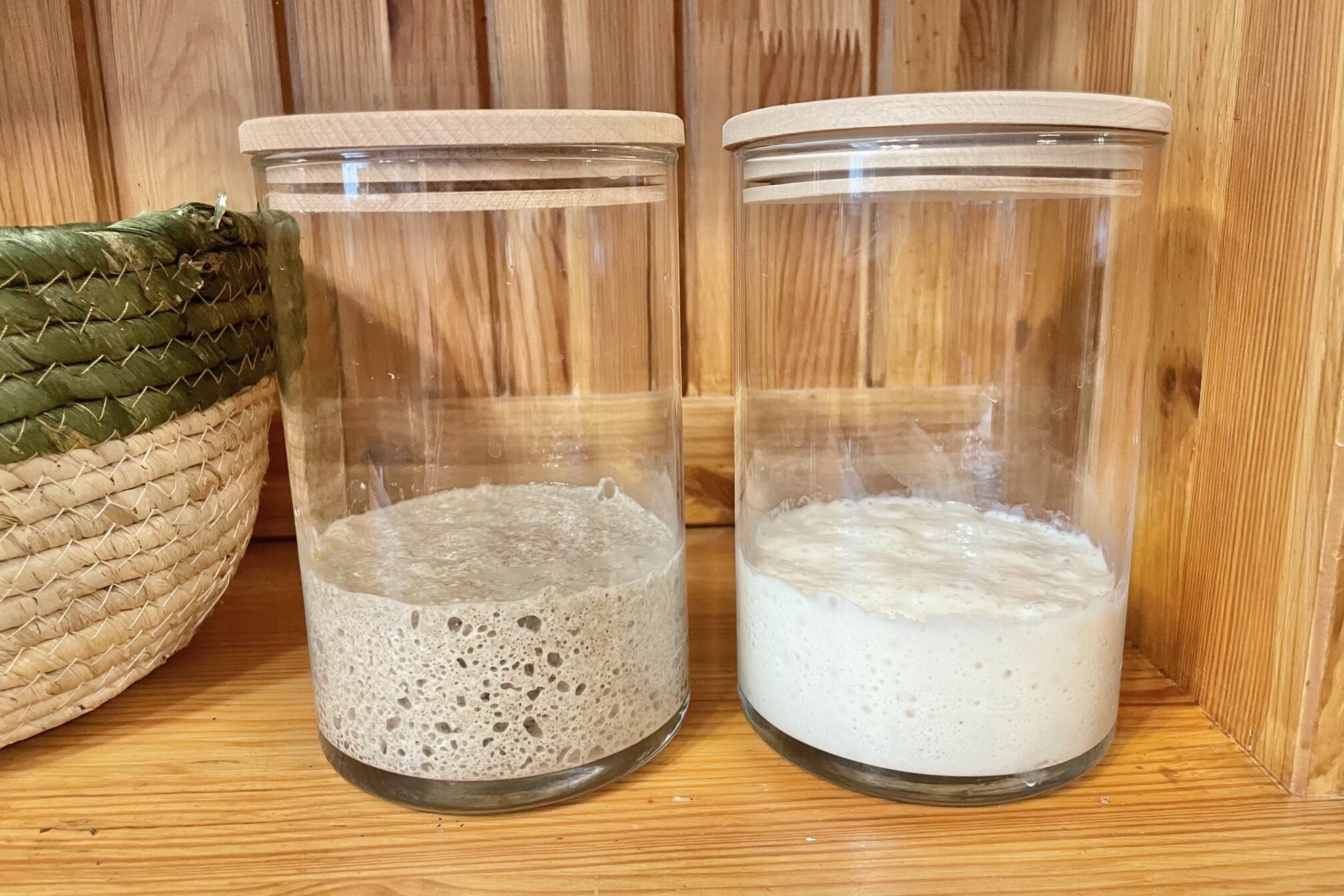 Two different sourdough starters.