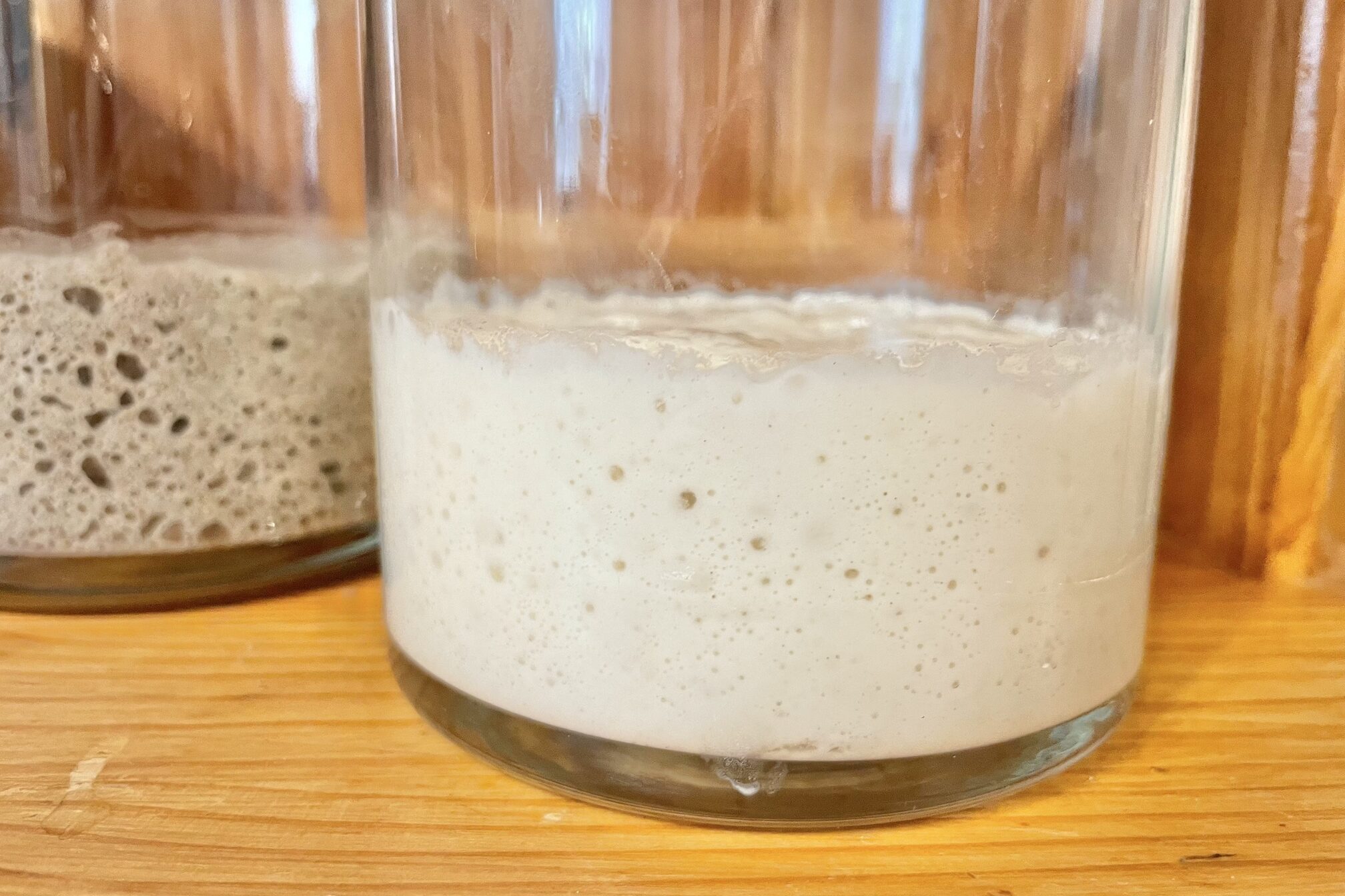 Wheat sourdough starter.