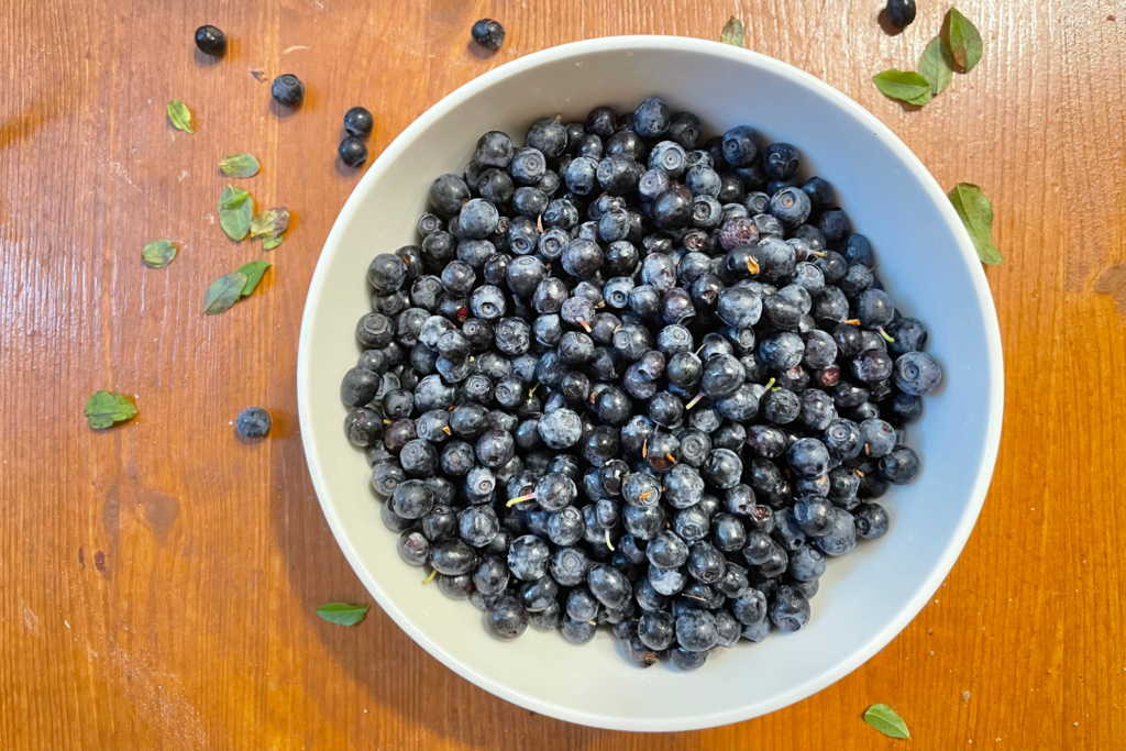 Blueberries in a white bowl.