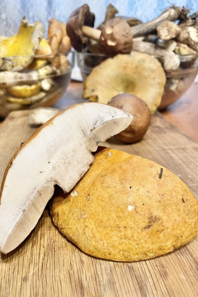 Boletus cut in a half.