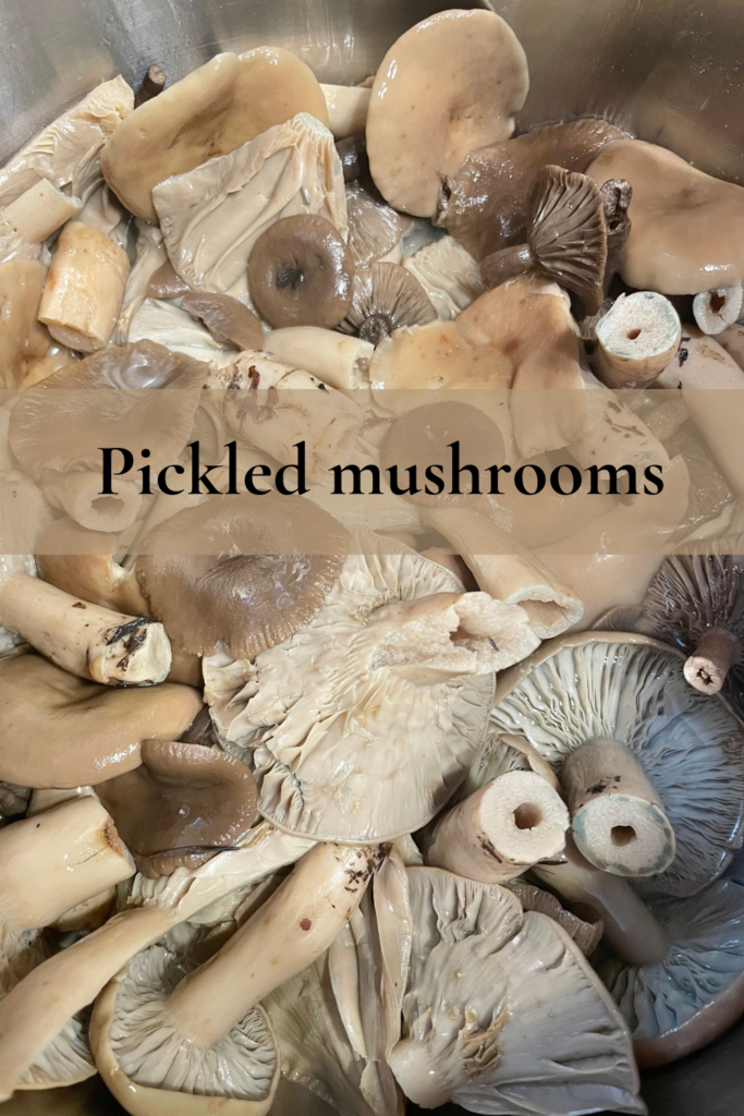 A lot of mushrooms.