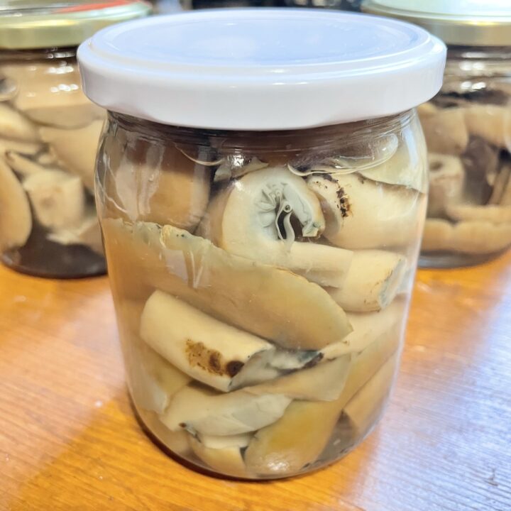 Mushrooms in jars.