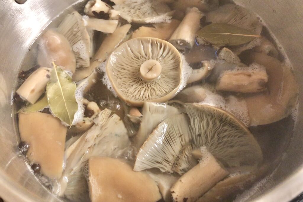 Mushrooms in marinade.